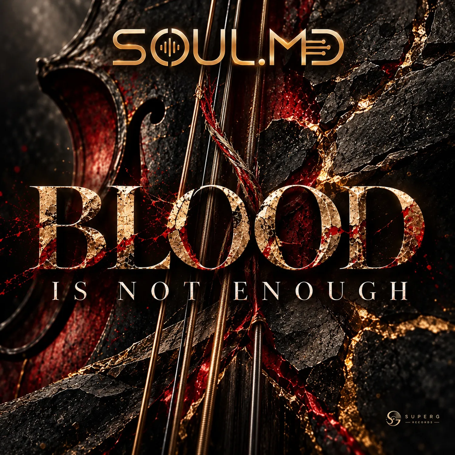BLOOD IS NOT ENOUGH album cover by SOUL.MD